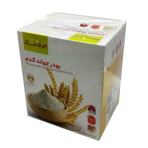 پودر جوانه گندم بین استار 375 گرم بسته 25 عددی